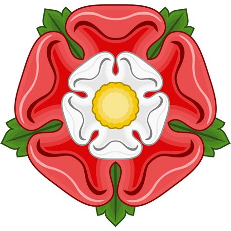 rosa tudor fioreù|tudor rose of york.